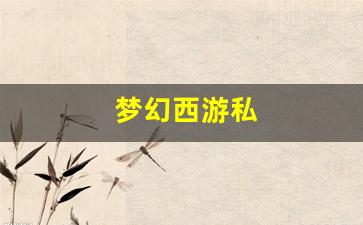 梦幻西游私 (6)
