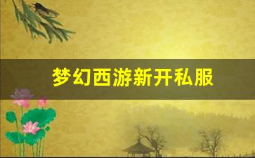 梦幻西游新开私服 (19)