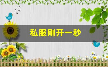 梦幻西游口袋版：私服刚开一秒 (17)